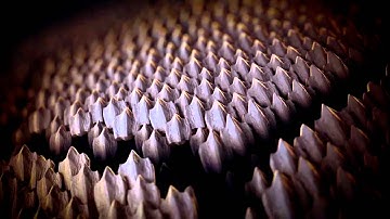 Crysis2 Highest settings 1920*1080 FULL HD Intro Gameplay