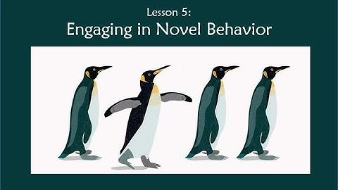 RO DBT - Lesson 05A - Engaging in Novel Behavior - Flexible Mind VARIEs