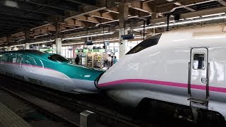 【鐵道旅情】新幹線E5系はやぶさとE3系旧こまちの併結大宮駅 ...