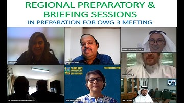 ACP MEAs Programme CBD Briefing session West Asia on Outcomes of CBD SBSTTA 24, SBI 3