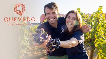 Quevedo: Raised, Matured and Bottled in the Douro Valley