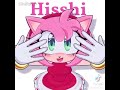Amy rose🩷🩷😺😺