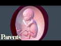 Second Trimester Begins: Weeks 13-16 of Pregnancy | Parents