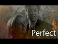 X- Files _ Mulder and Scully _Perfect