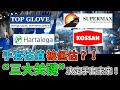 【马股分析】手套股ASP下滑？！盈利回调！但是估值竟然“别有洞天”!??TOPGLOV | SUPERMX | HARTA | KOSSAN [Eng CC]