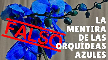 ¿Qué es una mentira azul?