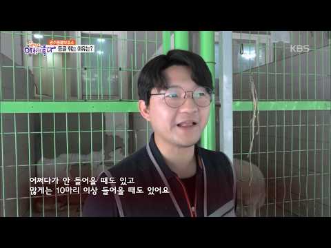   광주동물보호소 등골 휘는 이유는 아침이 좋다 20190520