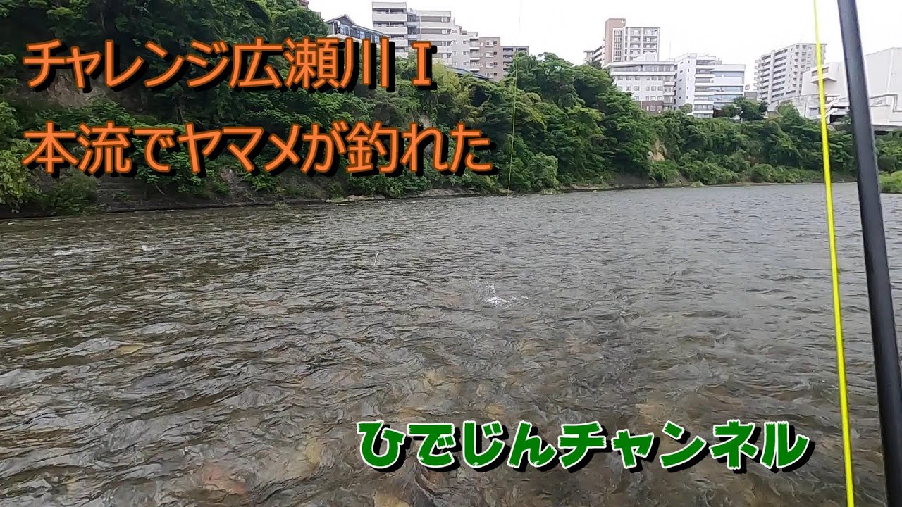 チャレンジ広瀬川Ⅰ　本流でヤマメが釣れた