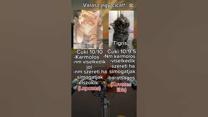 Te melyik cicát választod? Órd meg kommnetbe