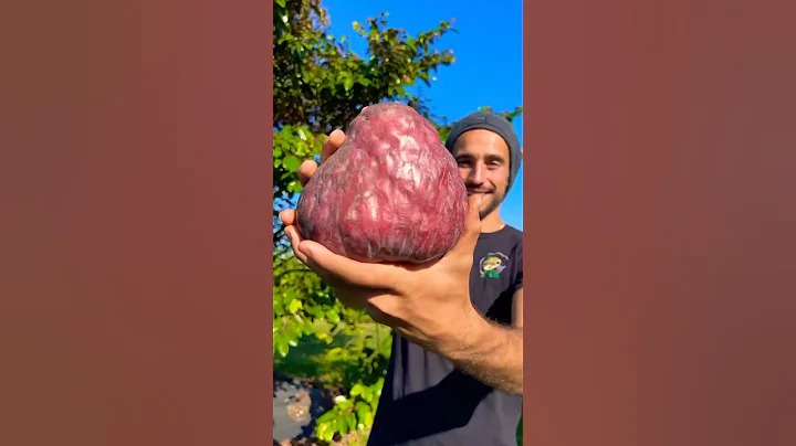 Red Custard Apple #fruit #eating #farming - DayDayNews