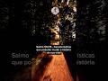 Salmo 104:15 - Características que poderão mudar a história de sua vida!