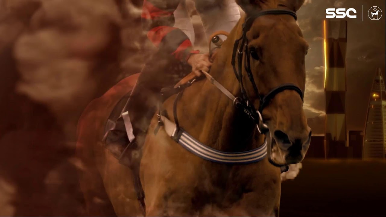 النقل المباشر للحفل 17 موسم سباقات الطائف 2023