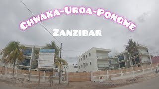 Chwaka Uroa Pongwe Zanzibar 2022.