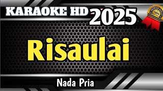 Risaulai (Lai Sarawa Ndak Babaju) - Karaoke Minang Nada Pria Terbaru Live HD