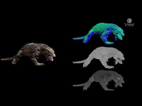 Komodo Dragon | Animation shot progression | Viskefi | @cgislandFx | #
