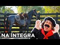 O CAVALO tá pronto!