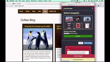 How to Add Microblog to WordPress for FREE