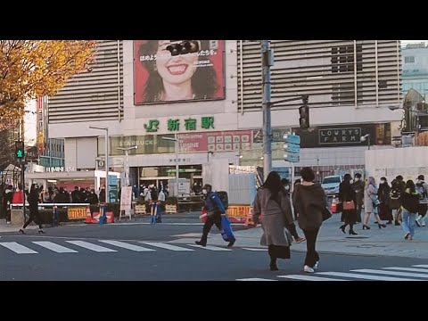 Cinematic 4k Tokyo 新宿から渋谷 代官山周辺を散策 自転車 車載動画 まちなみ Youtube Cinematic 4k Tokyo 新宿から渋谷 代官山周辺を散策 自転車 車載動画 まちなみ Youtube