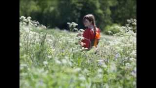 Vignette de la vidéo "Tužna su zelena polja"