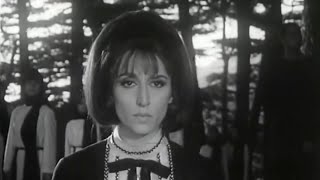 Ya Zahrat al-Mada'in (English Translation) – Rare  (1967) – Fairuz Song for Palestine