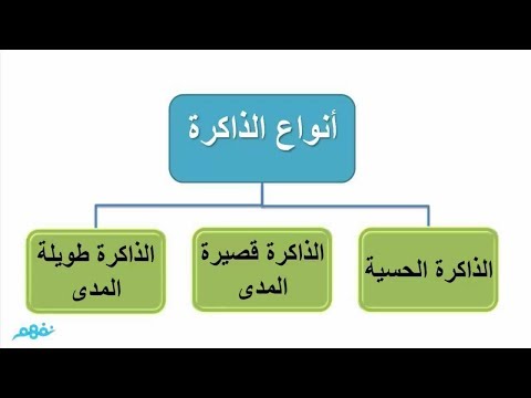 الذاكرة الخارقة ( 2 ): معنى الذاكرة وأنواعها