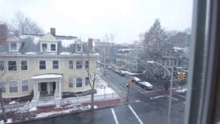 353 Harvard St #31