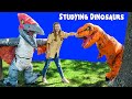 Assistant Learns about Being a Paleontologist and Discovers Dinosaurs