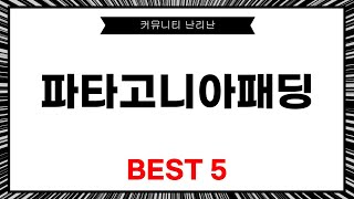 파타고니아 패딩의 모든 것! 리뷰와 착용 후기 완벽 정리