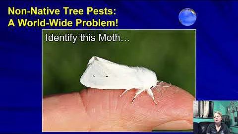 Invasive Species in the Landscape