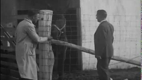 Ralph Barker, Richlawn Farm films, #104, 1941