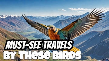 10 Incredible Migratory birds and animals, You Won