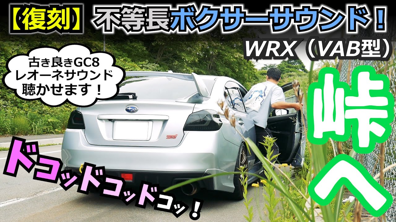 目貫 s-095 五獅図目貫 容彫 金色絵 日本刀 武具 刀装具 銅製 小道具