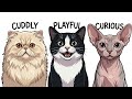 Every Type of House Cat Breed Explained in 3 Minutes Part 1