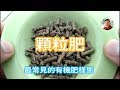 肥料入門【一】有機肥 (顆粒肥)
