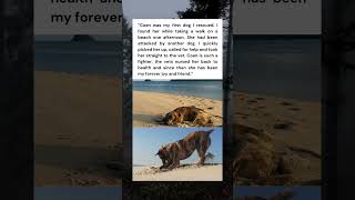 Coen Was Left for Dead on a Beach… Now She Runs It 🐾❤️