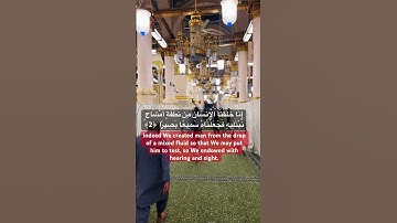 سورة الإنسان تلاوت