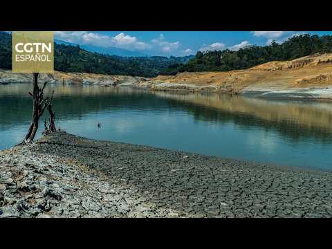 Ecuador declared on red alert due to the El Niño phenomenon