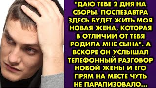 видео:  картинка: