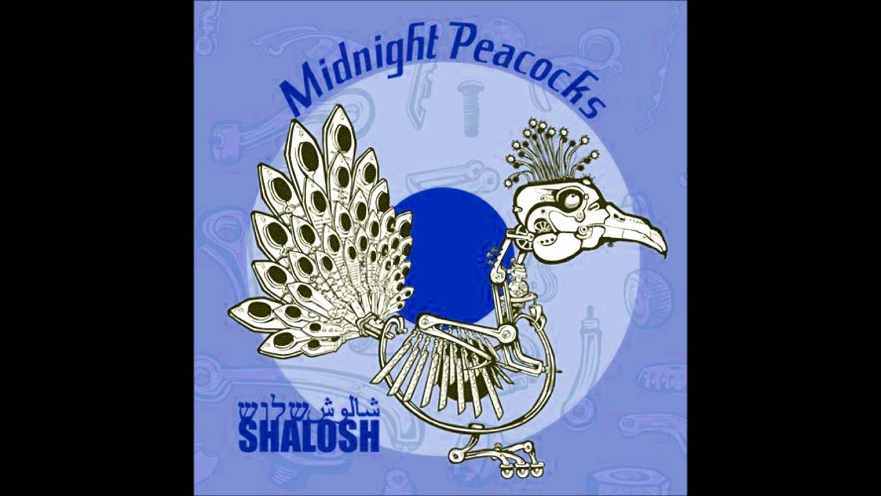 Midnight Peacocks - Insomnia [Shalosh, 2008]