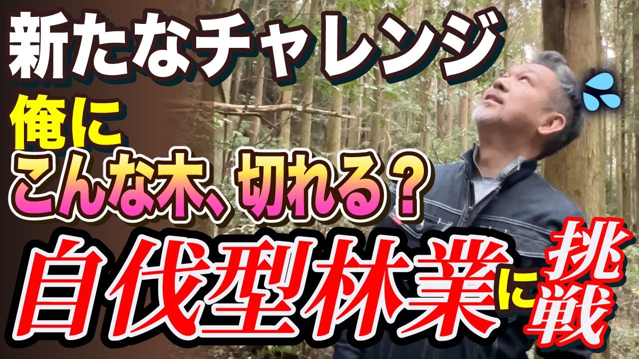 【初挑戦】自伐型林業って実際どうなの？山に入った初日のリアル