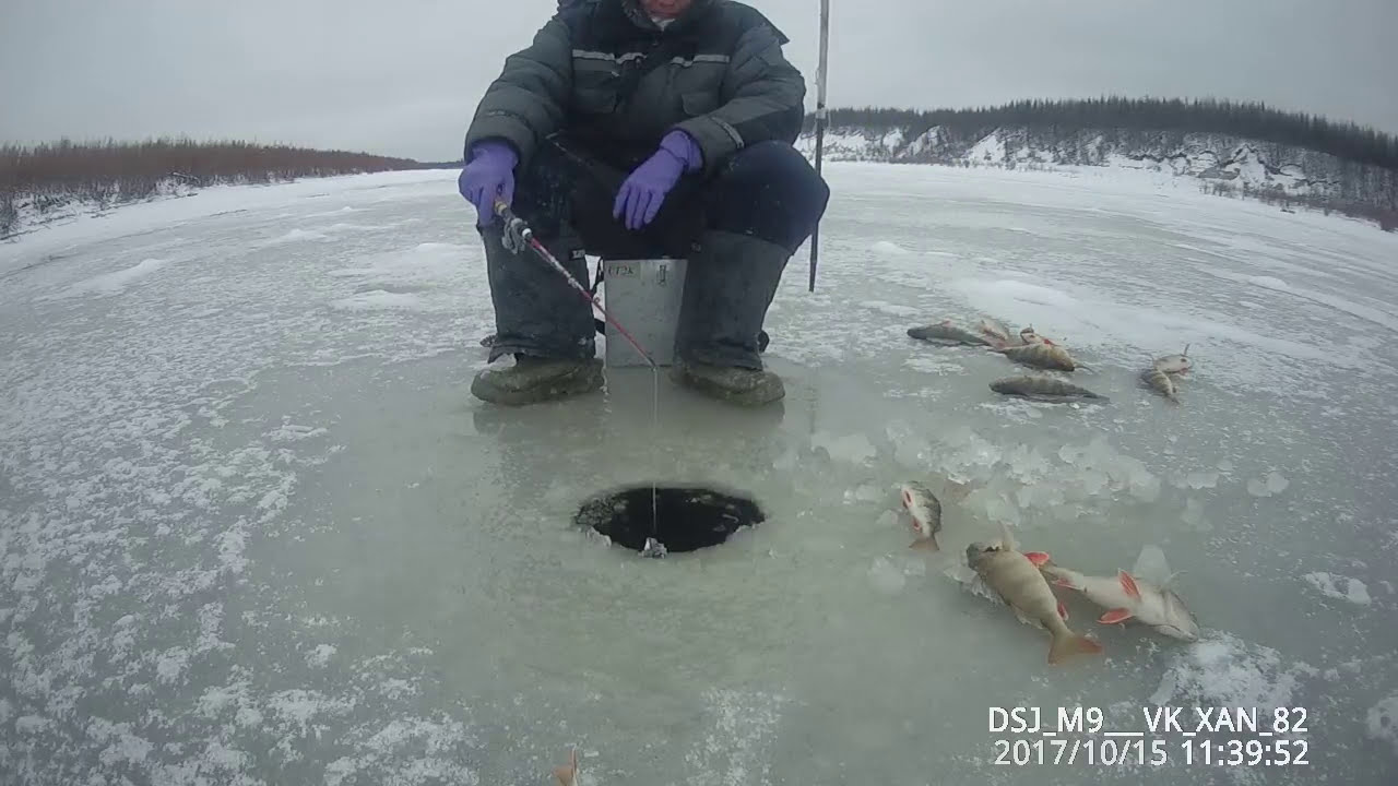 Дневной клев окуня Якутия Yakutia