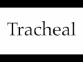 How to Pronounce Tracheal