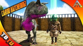 THE CARNOTAURUS HATCHENING! CARNO COLOR MUTATIONS! Ark Survival Evolved