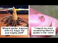 The Most Charming And Cute Spider Pics The Internet Has To Offer