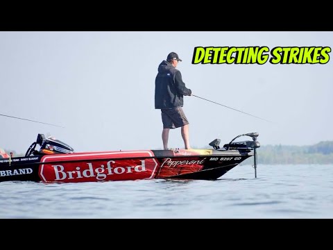 How To Detect A Bass Strike And NEVER Get Fooled Again…
