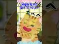 【2ch】ウチの先住猫が新入り猫達に…【アニマル】 #Shorts