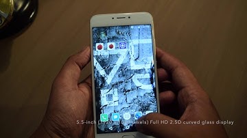 YU Yunicorn Overview and First Impressions