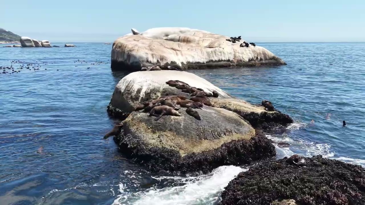 Cape Town 2026 Atlantic Seaboard