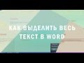 Как выделить весь текст в WORD