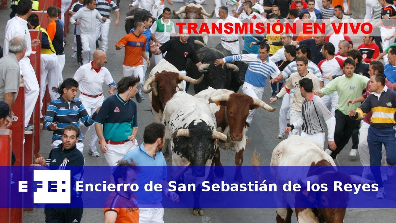 Encierro de San Sebastian de los Reyes (Madrid)